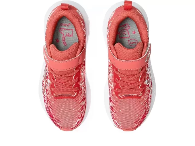 PŘEDŠKOLNÍ VÝCHODKA NOOSA TRI 16