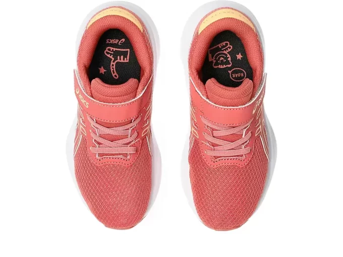 PŘEDŠKOLNÍ VZDĚLÁVÁNÍ 11