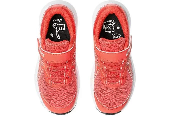 PŘEDŠKOLNÍ VZDĚLÁVÁNÍ CONTEND 9 PŘEDŠKOLNÍ VZDĚLÁVÁNÍ CONTEND 9