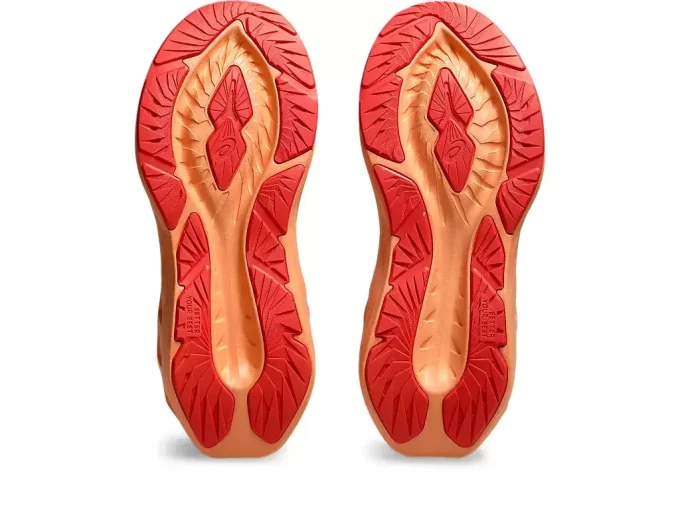 PÁTÁ TŘÍDNÍ ŠKOLA NOVABLAST