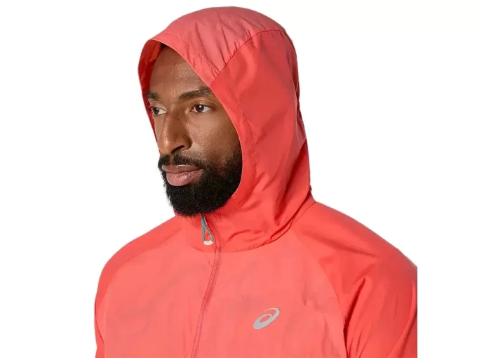 SBALITELNÁ BUNDA NA SILNICI