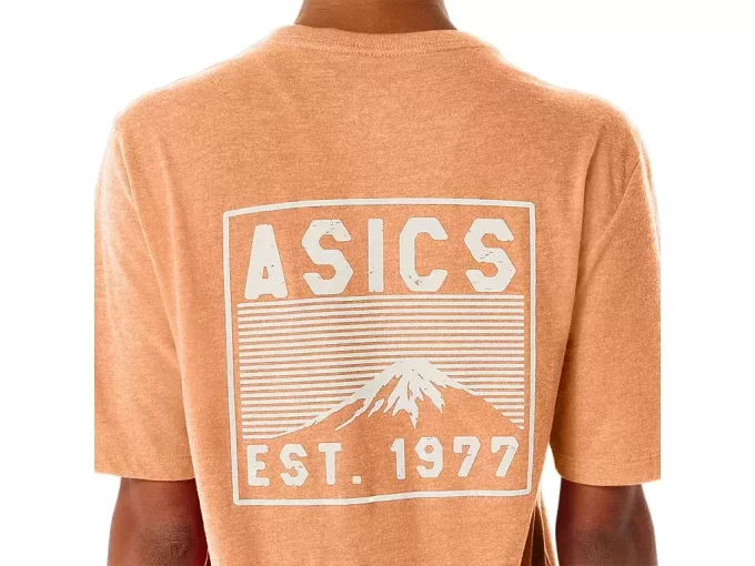 TEE FUJI 1977